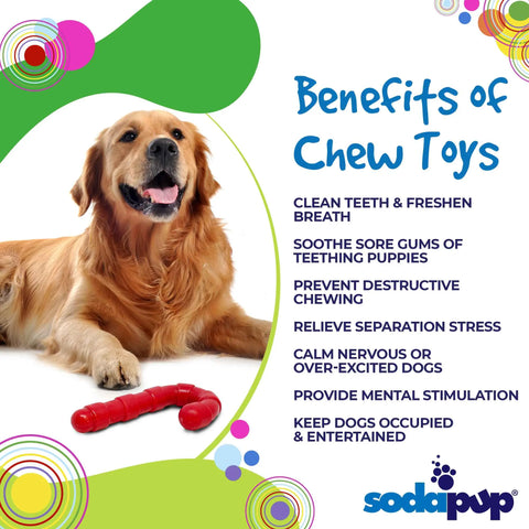 Candy Cane Power Chewer Dog Toy – Ultra Durable Nylon | Made in USA SodaPup  Nylon Dog Toys