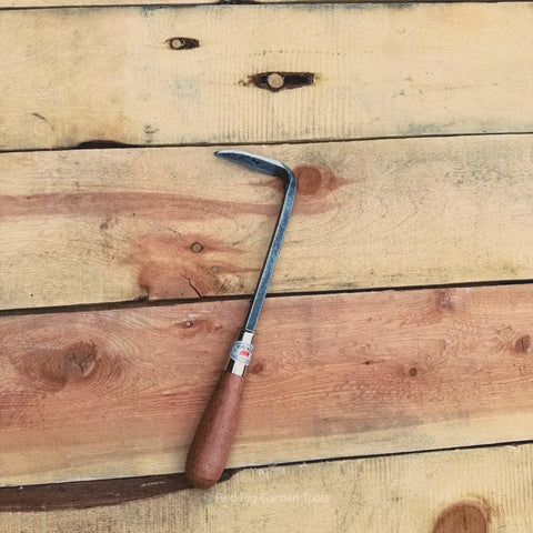Cape Cod Right-Hand Weeder – Lightweight Garden Cultivating Tool | Made in USA Piginor by Red Pig Garden Tools 