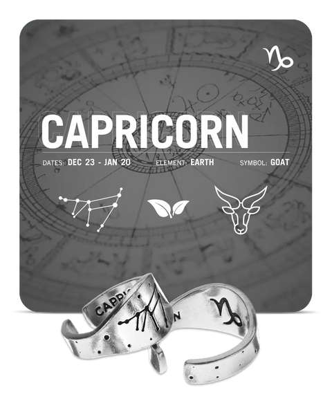 Capricorn Zodiac Ring – Recycled Pewter Astrological Jewelry | Made in USA Whitney Howard Designs  Zodiac Rings