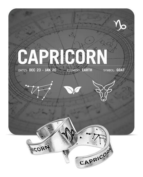 Capricorn Zodiac Ring – Recycled Pewter Astrological Signet | Made in USA – Unique Horoscope Jewelry Gift Whitney Howard Designs  Zodiac Rings