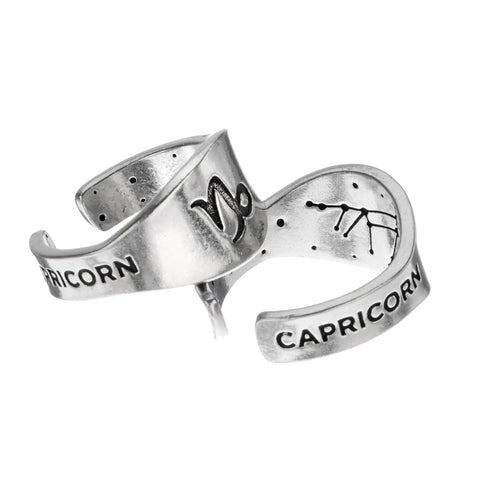 Capricorn Zodiac Ring – Recycled Pewter Astrological Signet | Made in USA – Unique Horoscope Jewelry Gift Whitney Howard Designs  Zodiac Rings