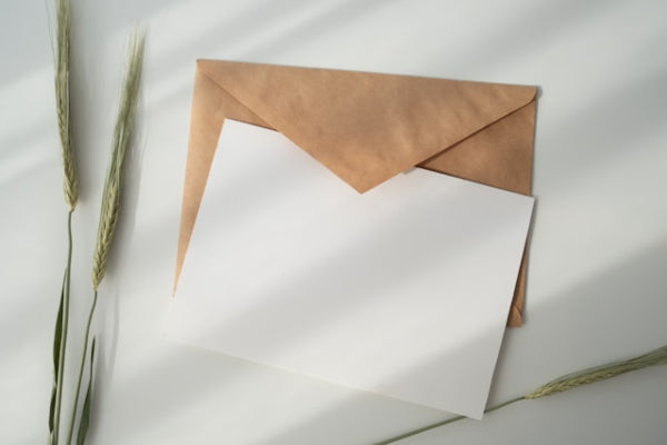 Brown envelope with a white sheet of paper on a light background