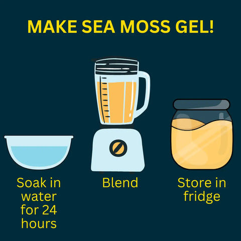 An illustrated guide shows how to make thyroid-healthy gel: soak Oceans Balance Sea Moss Powder in water for 24 hours, blend, and refrigerate. Each step features images emphasizing the iodine-rich benefits.