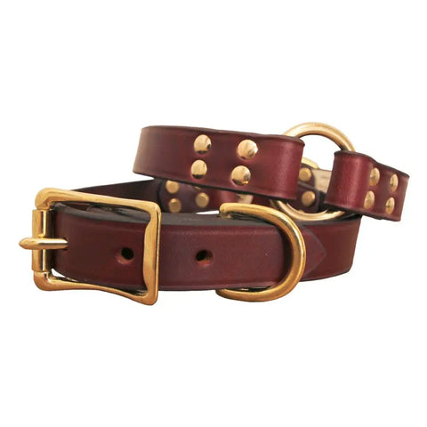 Center Ring Leather Dog Collar – Durable Brass Buckle – Handcrafted Outdoor Collar | Made in USA Auburn Leathercrafters  item