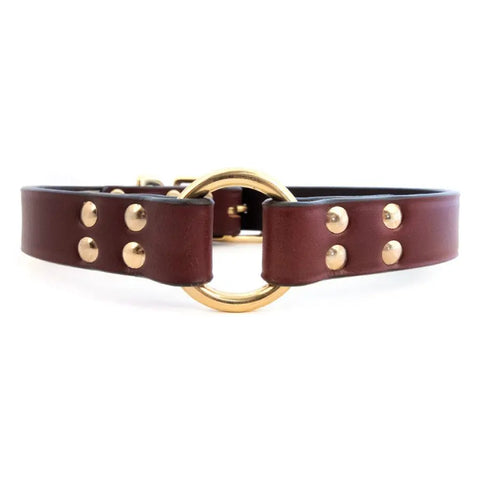 Center Ring Leather Dog Collar – Durable Brass Buckle – Handcrafted Outdoor Collar | Made in USA Auburn Leathercrafters  item