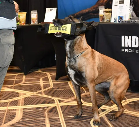 A Belgian Malinois sits indoors holding a Bulletproof Pet Products Inc Certified Bad Ass Fire Hose Training Tug in its mouth, looking up at a nearby person. Booths and promotional displays are visible in the background.