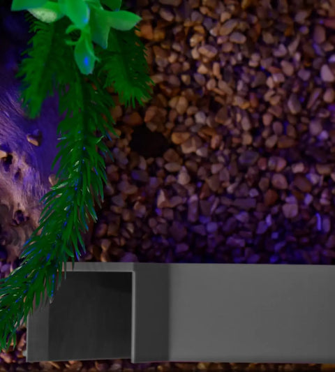 A close-up of leafy green plants over brown pebbles shows part of the Chatelet Aquarium Underground Tunnel by Chatelet Manufacturing in the corner, under soft purple and green light—a unique fish and shrimp hideout made in the USA.