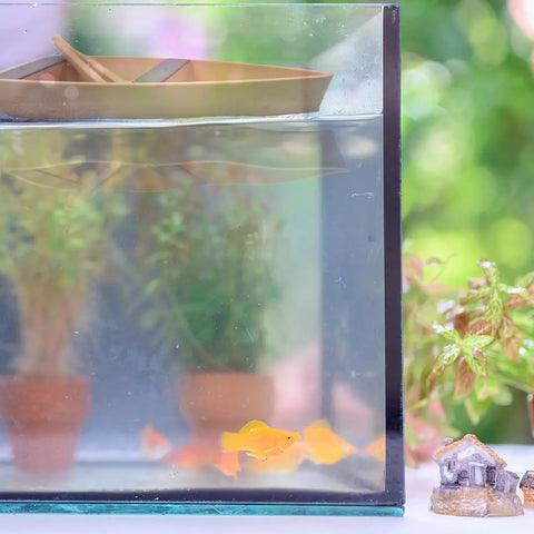 Chatelet Aquarium Toy Boat Chatelet Manufacturing 