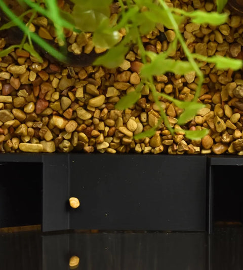 A close-up of Chatelet Manufacturing’s Aquarium Underground Tunnel shows small yellow-brown pebbles, green plant leaves, and the unique black hideout—perfect for creating an inviting fish or shrimp tunnel in your tank. Made in USA.