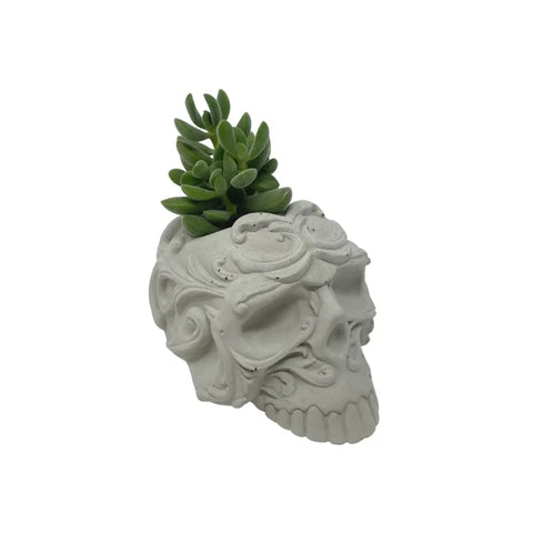 Chatelet Concrete Skull Design Small Planter - 5" X 3.5" X3" - Holds Small Indoor or Outdoor Plants - Succulents, Microgreens, Flowers - Handmade in USA (Gray, Concrete) Chatelet Manufacturing   19.95 Default Title