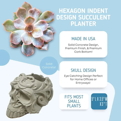 Chatelet Concrete Skull Design Small Planter - 5" X 3.5" X3" - Holds Small Indoor or Outdoor Plants - Succulents, Microgreens, Flowers - Handmade in USA (Gray, Concrete) Chatelet Manufacturing 