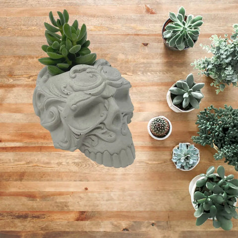Chatelet Concrete Skull Design Small Planter - 5" X 3.5" X3" - Holds Small Indoor or Outdoor Plants - Succulents, Microgreens, Flowers - Handmade in USA (Gray, Concrete) Chatelet Manufacturing 