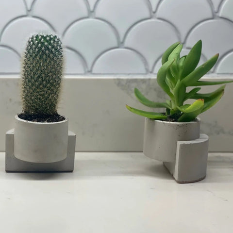Chatelet Concrete Small Planter 4 Inch - Abstract Design | Made in USA Chatelet Manufacturing 