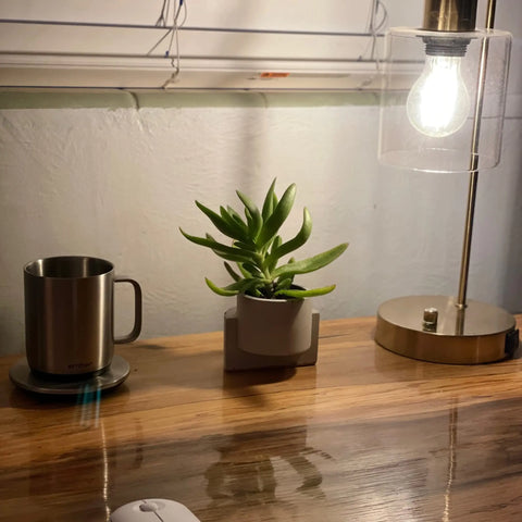 Chatelet Concrete Small Planter 4 Inch - Abstract Design | Made in USA Chatelet Manufacturing 