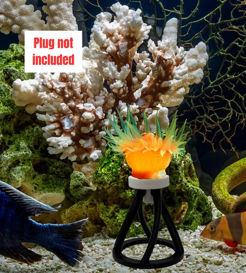 The Chatelet REEFSHAPE Coral Frag Plug Stand by Chatelet Manufacturing provides stable, decorative support for aquarium corals. This 5-pack of coral protector inserts holds coral securely—plug not included. Made in the USA.