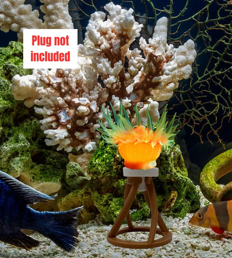 Chatelet Manufacturing’s REEFSHAPE Coral Frag Plug Stand 5-pack holds coral securely in your aquarium with rocks and fish—ideal for reef setups. Label: Plug not included. Made in USA.