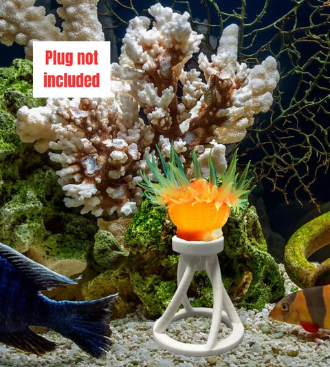 Showcase your reef accessories with the Chatelet REEFSHAPE Coral Frag Plug Stand (5 Pack) by Chatelet Manufacturing. Ideal for coral stability and protection in aquariums. Sign reads Plug not included. Made in the USA.