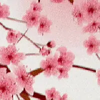 Pink cherry blossoms on slim branches evoke the gentle style of Rogue Industries RFID Blocking Credit Card Sleeves - Cherry, blending soft floral elegance with reliable identity theft protection.