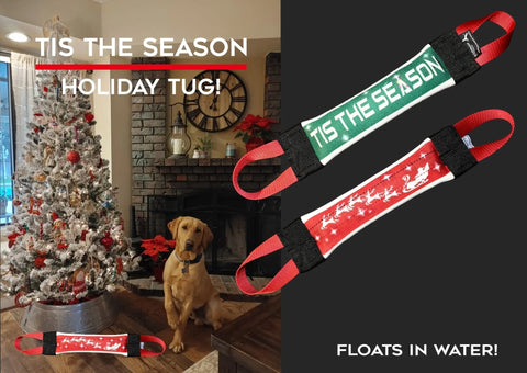 A golden Labrador sits by a flocked Christmas tree in a cozy room. Two “Tis the Season Christmas Fire Hose Training Tugs” from Bulletproof Pet Products Inc, one green and one red, are shown with text: FLOATS IN WATER! HOLIDAY SERIES!.