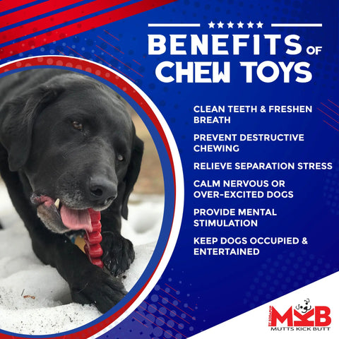 A black dog chews a red SodaPup Christmas Tree Ultra Durable Nylon Dog Chew Toy in the snow. Text highlights benefits for aggressive chewers: cleans teeth, relieves stress, prevents destructive chewing, and supports dental health.