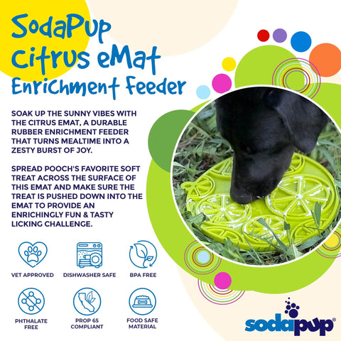Citrus Design 8 Inch Pet Lick Mat With Suction Cups – Made in USA SodaPup  EMAT