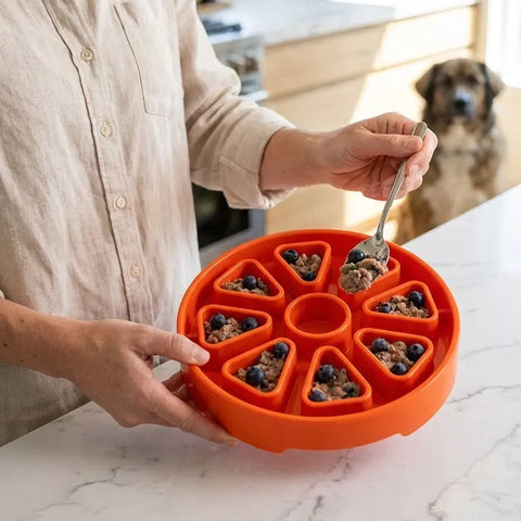 Citrus Pattern Slow Feeder Dog Bowl 8 Inch – Shallow Lick Mat for Enrichment | Made in USA SodaPup  ETRAY