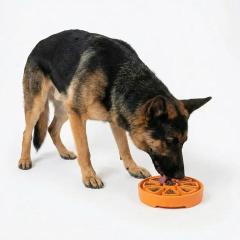 Citrus Softie ETray Shallow Slow Feeder Dog Bowl |  USA Made SodaPup  ETRAY
