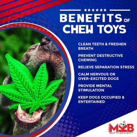A dog chews a SodaPup Colorado Maple Leaf EChew Durable Nylon Dog Chew Toy. Text highlights benefits: cleans teeth, prevents destructive chewing, relieves stress, calms dogs, provides mental stimulation & keeps dogs entertained. Mutts Kick Butt logo shown.
