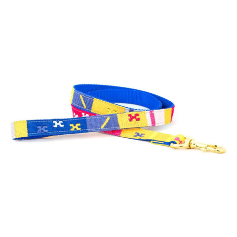 Colorful Handwoven Dog Leash 6 Foot – Durable Nylon Webbing with Brass Hardware | Made in USA Auburn Leathercrafters  item