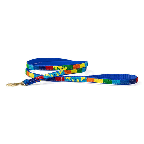 Colorful Handwoven Dog Leash – Durable Nylon Webbing with Brass Clip | Made in USA Fiesta Pattern Auburn Leathercrafters  item
