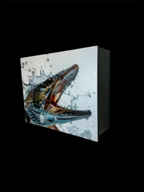 The Regular Size Concealment Cabinet by B. James Design & Woodwork features a fish with its mouth open, emerging from splashing water on a white background, all set against a solid black backdrop.