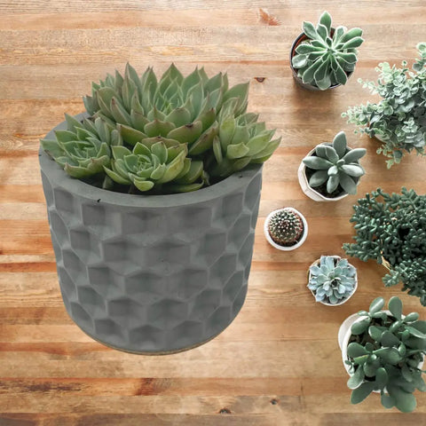 Concrete Hexagon Small Planter 3 Inch – Indoor Outdoor Decor | Made in USA Chatelet Manufacturing 