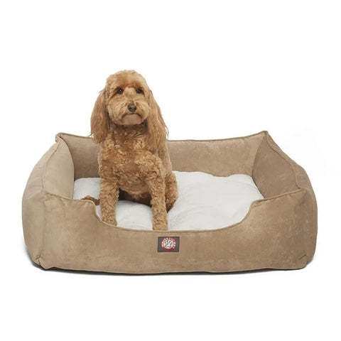 A small, curly-haired brown dog sits in the tan and white, rectangular Villa Contemporary Lounge Bed by Majestic Pet, looking slightly to the side.