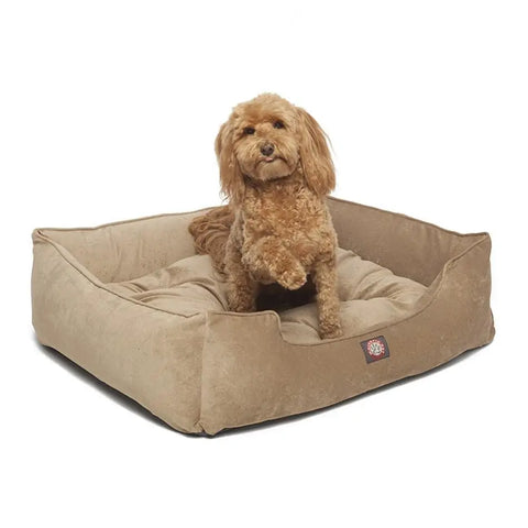 A small, curly-haired brown dog sits on the Majestic Pet Villa Contemporary Lounge Bed with raised sides, facing forward against a plain white background.