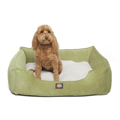 A small brown curly-haired dog relaxes in the Majestic Pet Villa Contemporary Lounge Bed—its green, rectangular design with a white cushion combines style and comfort.