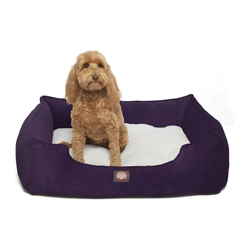 A light brown, curly-haired dog sits in the Majestic Pet Villa Contemporary Lounge Bed with white bedding. The rectangular purple bed adds style to any space as the pup faces forward, glancing slightly to the side.