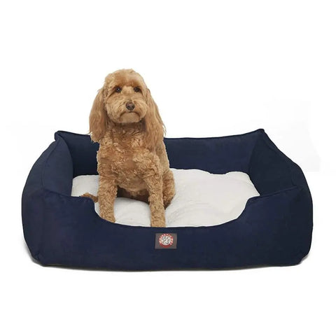 A small, curly-haired brown dog relaxes in the Majestic Pet Villa Contemporary Lounge Bed, featuring white plush bedding and a rectangular navy blue design, set against a plain white background.