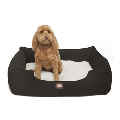 A small brown dog with curly fur sits on the Majestic Pet Villa Contemporary Lounge Bed. This rectangular black bed features white bedding, blending style and comfort for pets, pictured against a plain white background.