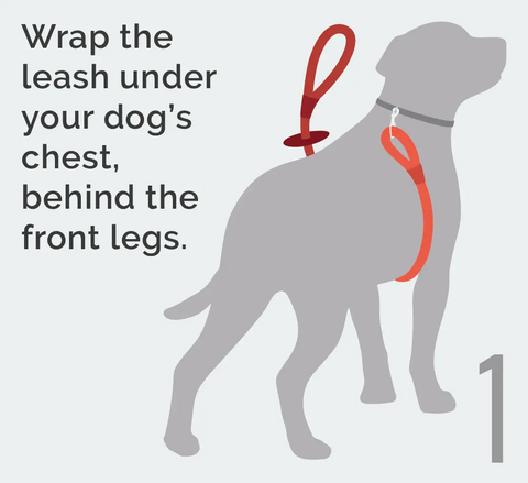 Cotton Rope Convertible Dog Harness and Leash Combo – Durable and Large Size | Made in USA Auburn Leathercrafters  item