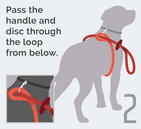Cotton Rope Convertible Dog Harness and Leash Combo – Durable and Large Size | Made in USA Auburn Leathercrafters  item