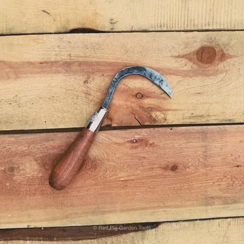Crevice Weeder with Hickory Handle – Precision 1/16 to 1/8 Inch Tip | Made in USA Gardening Tool Piginor by Red Pig Garden Tools 