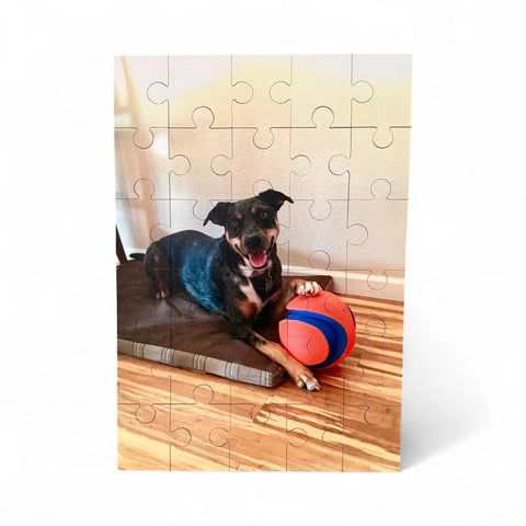 The B. James Design & Woodwork Custom Printed Puzzle features a black and brown dog on a bed with one paw on an orange and blue ball, gazing at the camera. Enjoy this unique 30-piece puzzle challenge!.