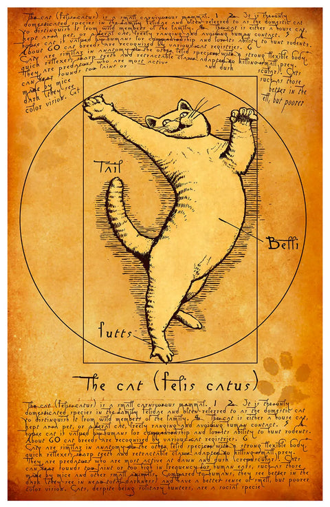 Da Vinci Cat Poster – Renaissance Art Print Wall Decor | Made in USA Skinny Pete's Gourmet Catnip  Art