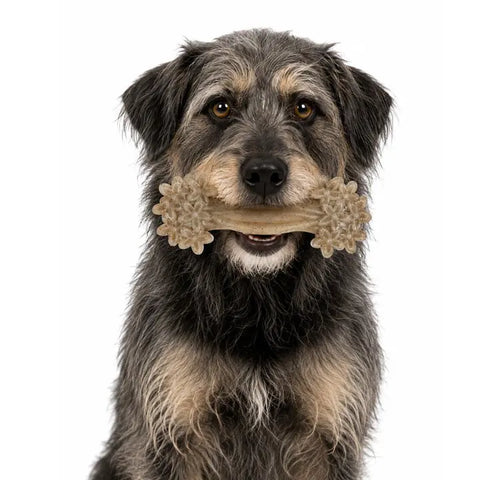Daisy Bone Nylon Dog Toy for Aggressive Chewers | Durable | USA Made SodaPup  Nylon Dog Toys