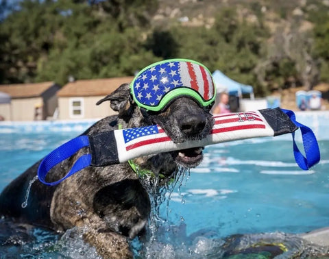Dock Diving Bumper Tug - Competition Series Weighted - U.S. Flag Bulletproof Pet Products Inc  DOCK TUG