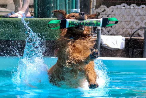Dock Diving Weighted Bumper Tug 14 Inch – Neon Green Camo | Made in USA Bulletproof Pet Products Inc  DOCK TUG