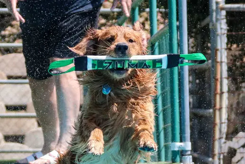 Dock Diving Weighted Bumper Tug 14 Inch – Neon Green Camo | Made in USA Bulletproof Pet Products Inc  DOCK TUG