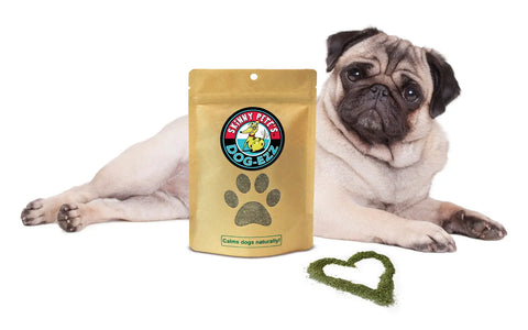 Dog-Ezz Natural Calming Dog Supplement – Organic Dognip Sprinkle | Made in USA Skinny Pete's Gourmet Catnip  Pet Gift