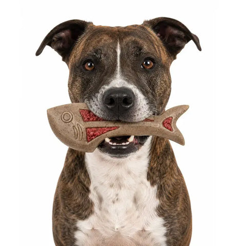 Dog Fish Nylon Dog Chew & Enrichment Toy | Ultra-Durable for Aggressive Chewers | SodaPup SodaPup  Nylon Dog Toys