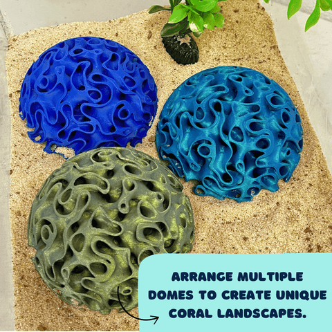 Aquarium Coral Reef Dome – Fish Shelter and Egg Laying Habitat | Made in USA Chatelet Manufacturing 